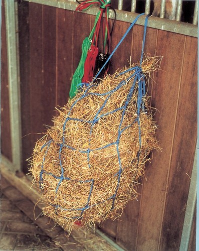 Harlequin horse haynets - horse, |