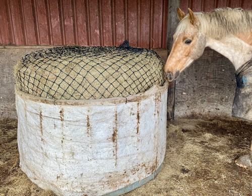 Round big bale hay haylage - bale, net