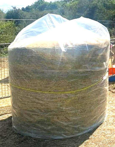 5ft hay straw big - 5ft,