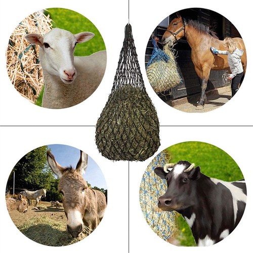 Pack large ringed - pack,