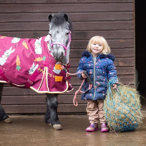 Small haynet shetland pony net - small,