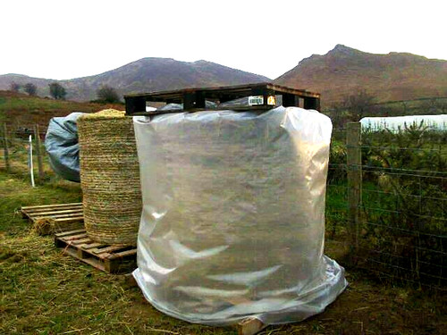 5ft hay straw big - 5ft, bag